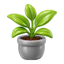 icon 6